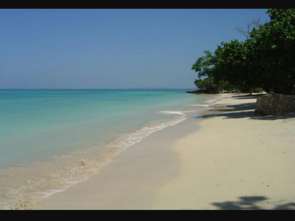 Shades Cottage Guesthouse Blue Hole Екстер'єр фото